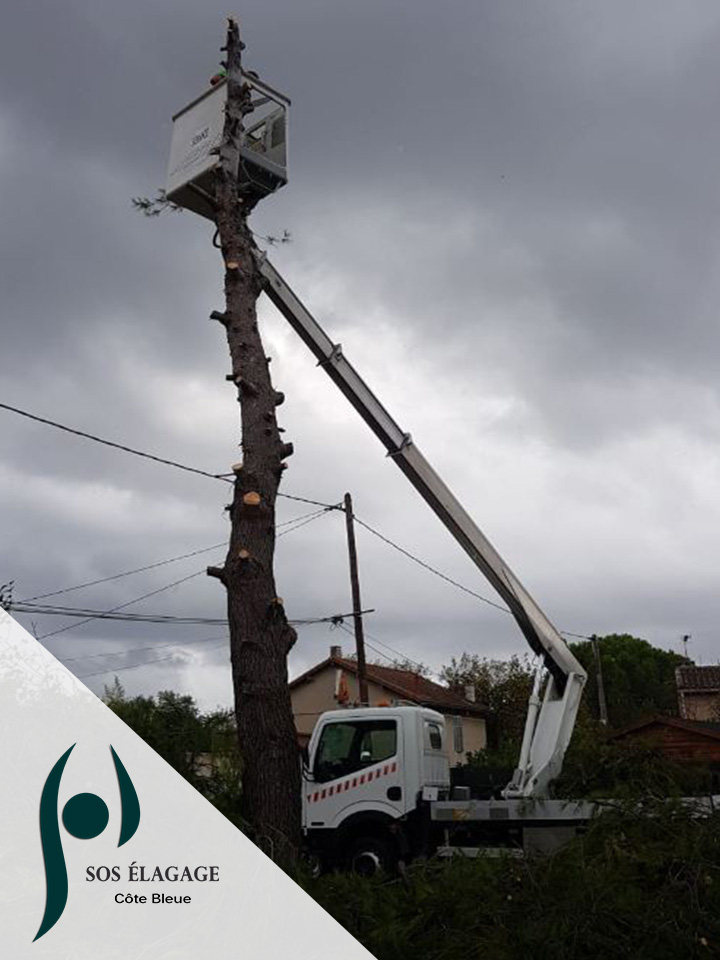 SOS Élagage Provence